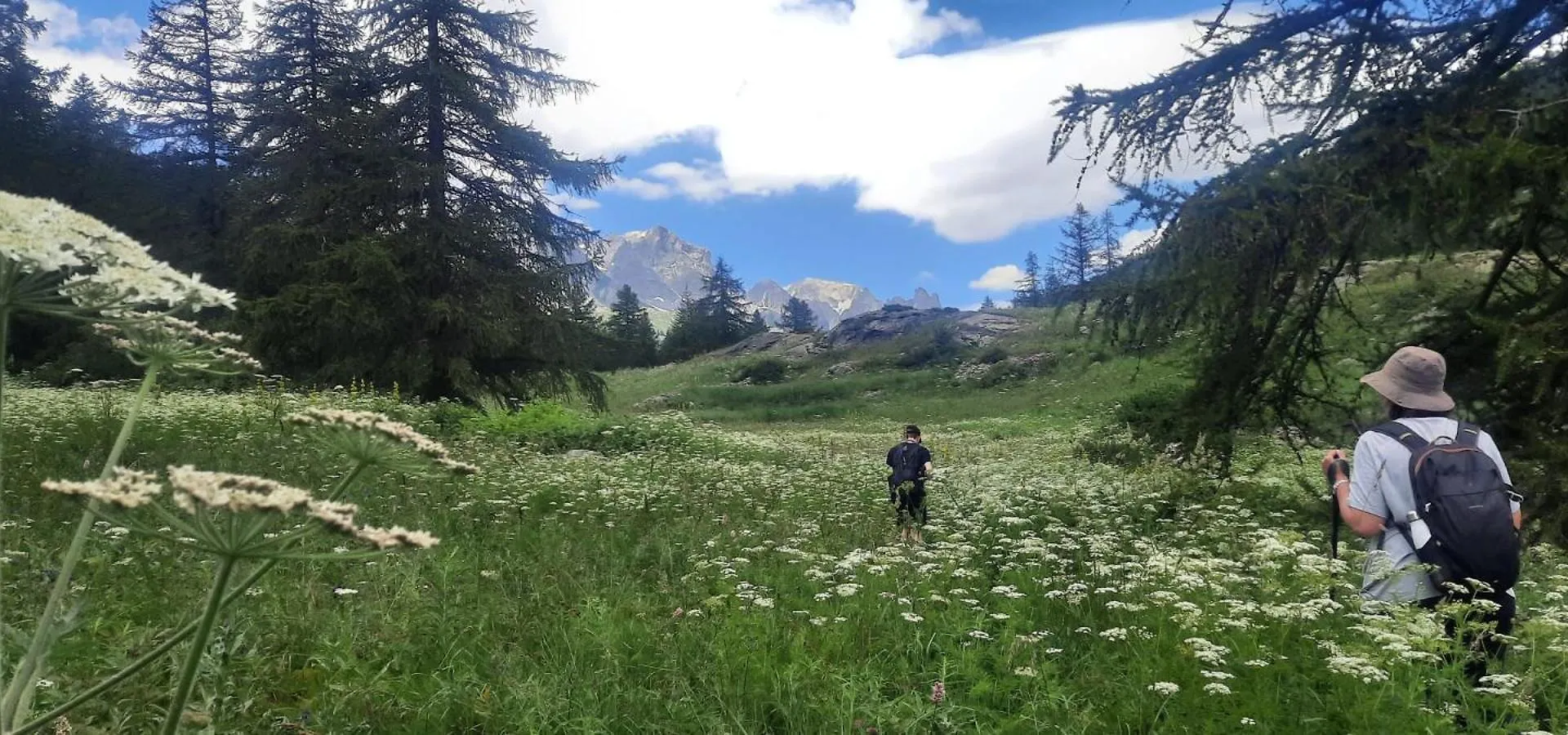 Superbe T2 A 2 Pas Des Pistes Et Des Sentiers De Randonnee Apartment Briancon  France